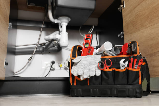 Best Toilet Repair Services  in Celina, TN